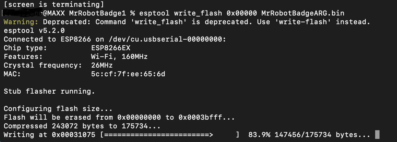 Terminal screenshot showing successful esptool run and output.